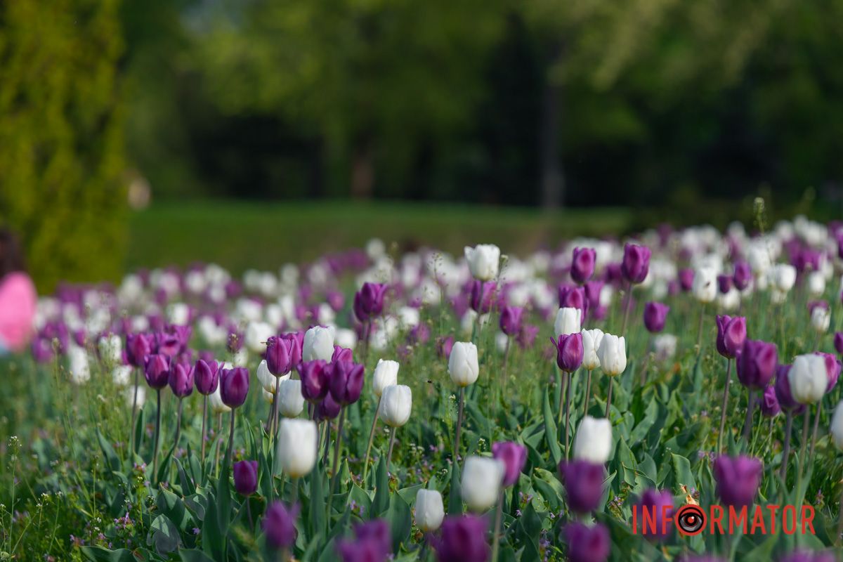 Автор: Валентин Бичко