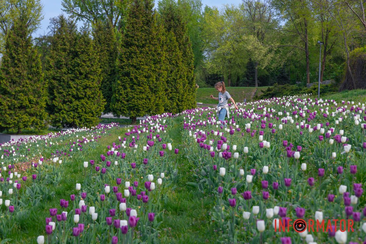 Кують бездомниці-зозулі.