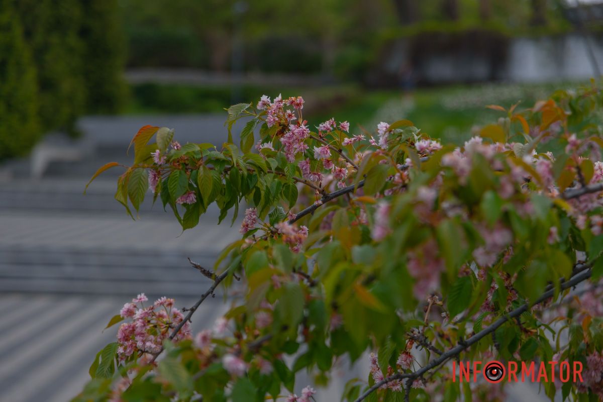 Та найгучніше в цьому гулі