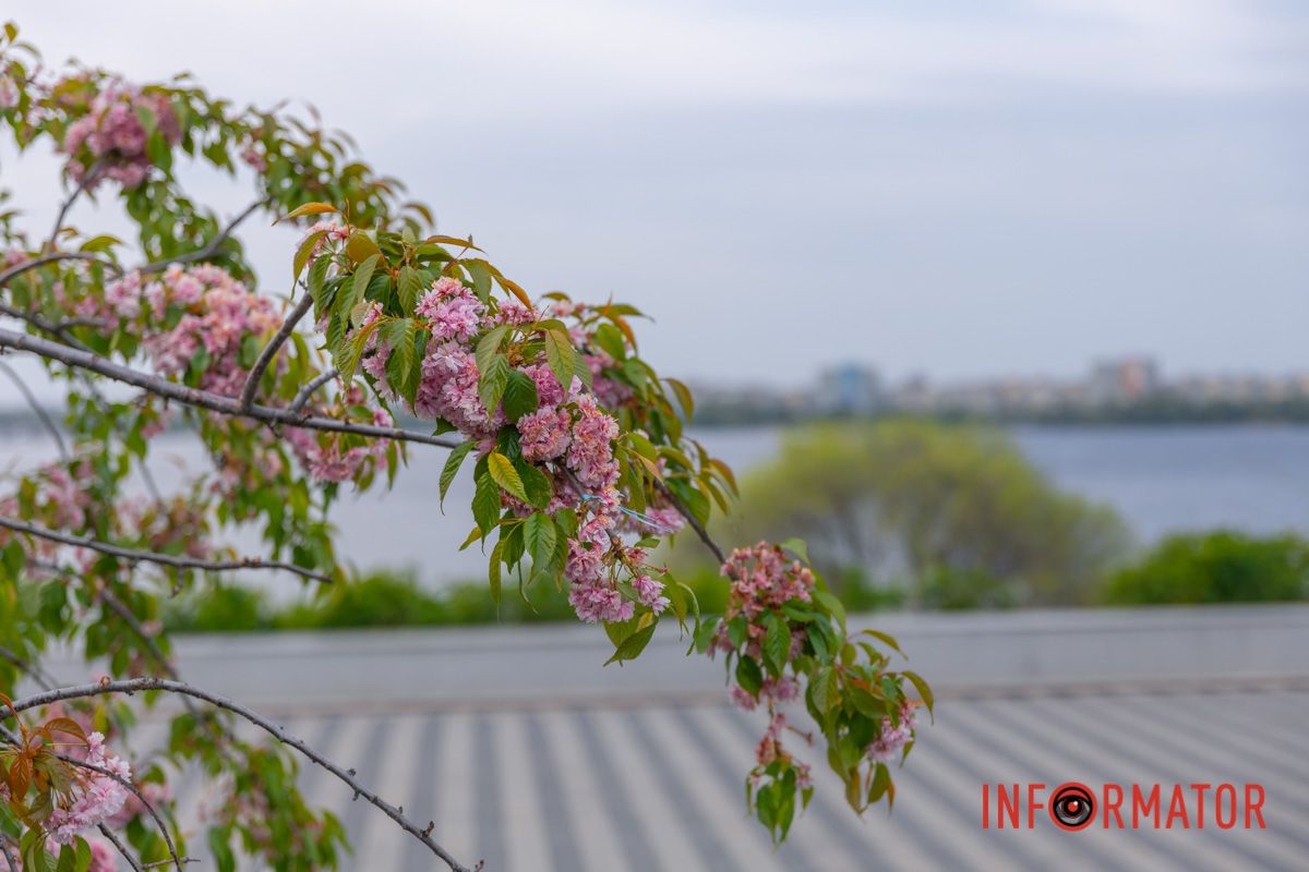 Що довік бажання наше –