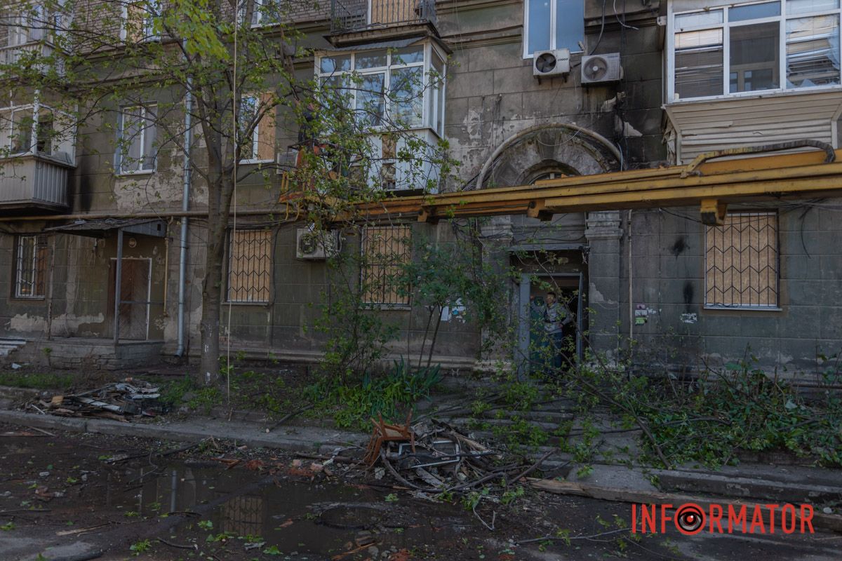 Спилені дерева і гілки