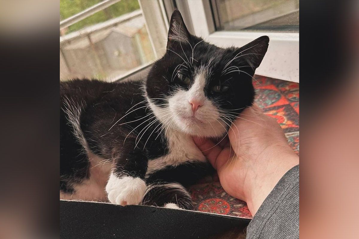 Їм потрібен дім Їм потрібен дім