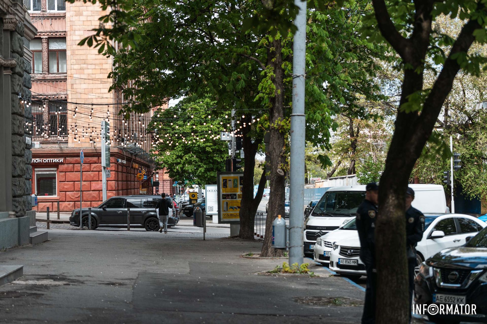 Каштани на проспекті Дмитра Яворницького