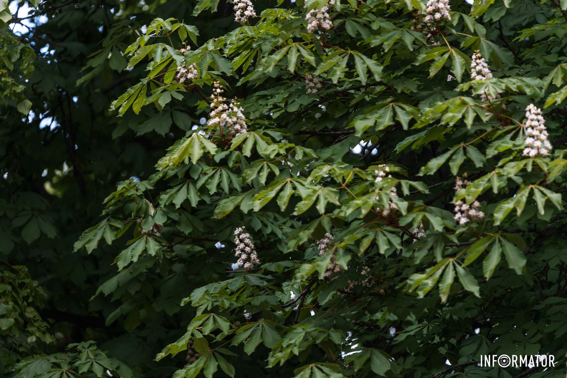 Вже у квітні стовпчик термометра інколи сягав позначки в +25 градусів