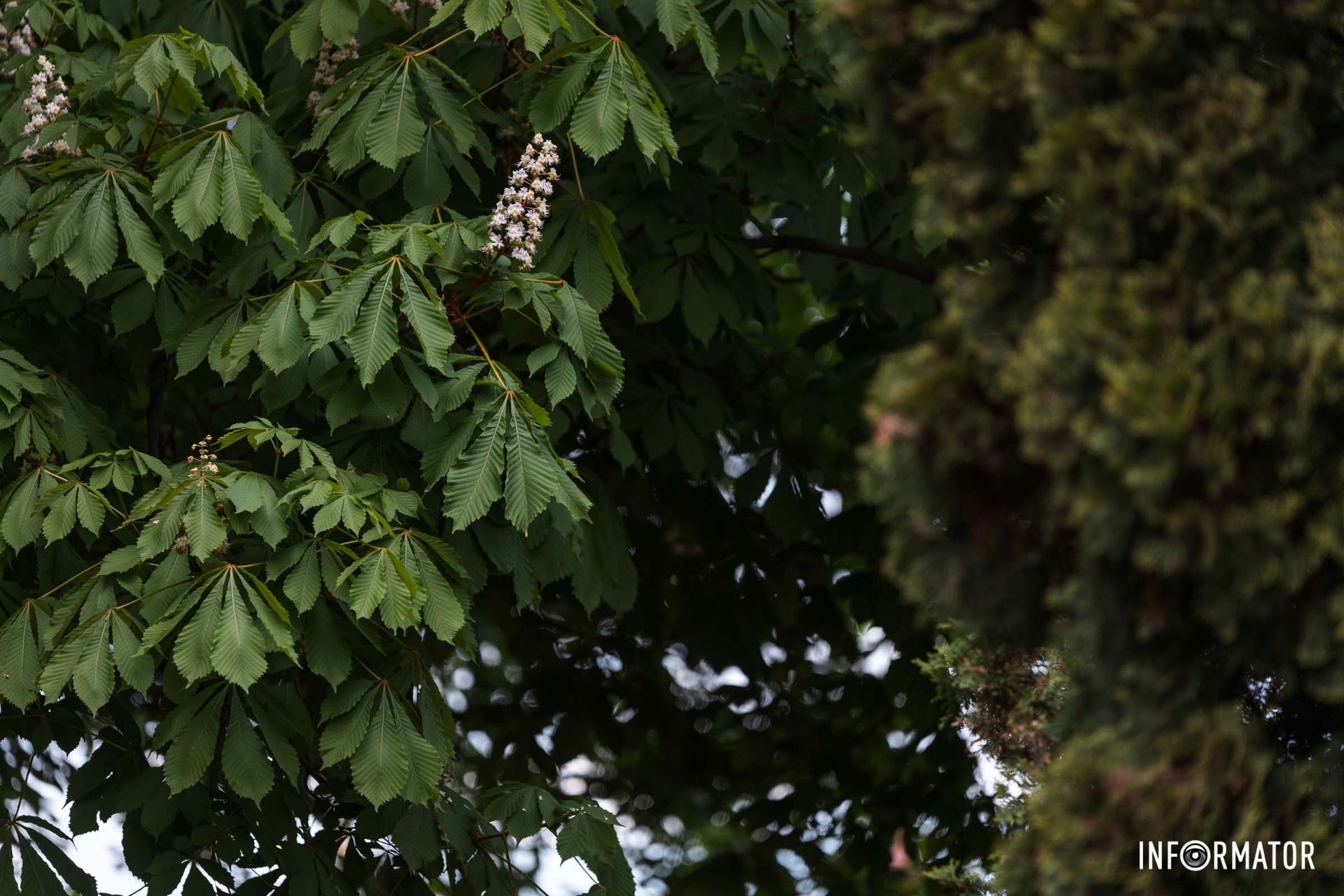 Відчуття спокою та відпочинку