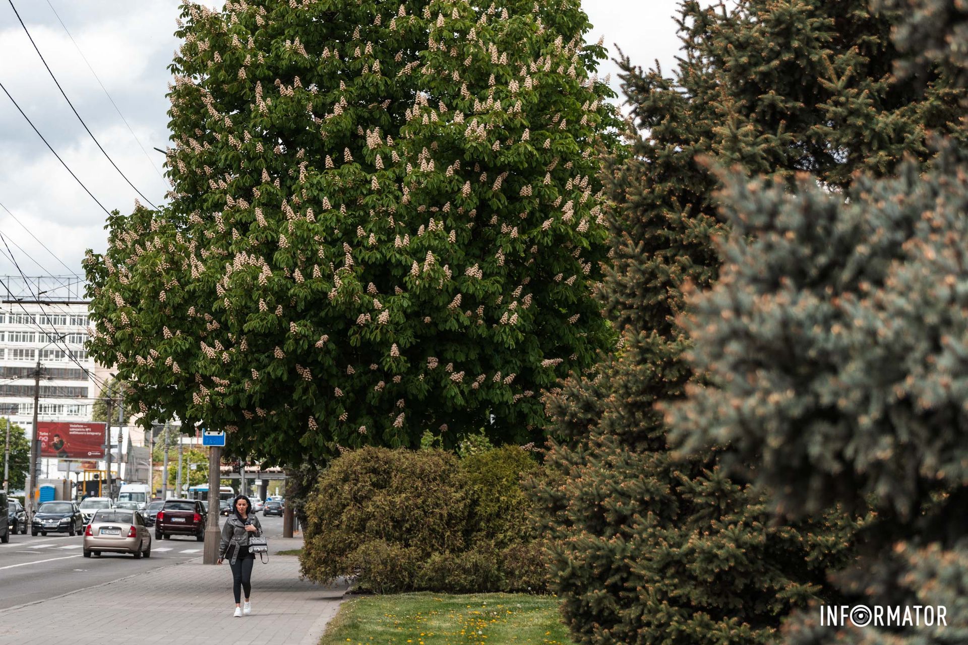 Весна прийшла цьогоріч раніше