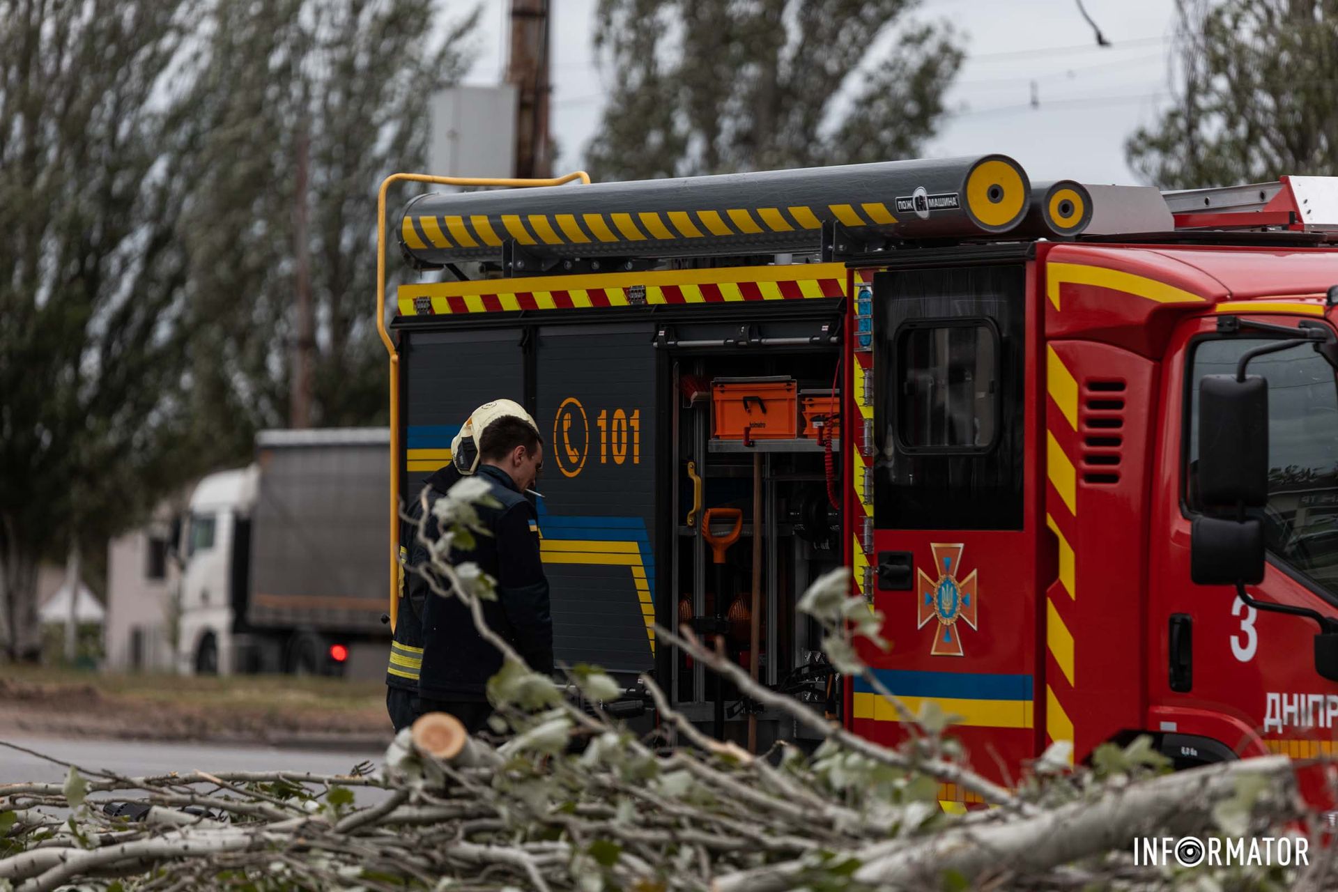 Пориви вітру валять дерева Пориви вітру валять дерева