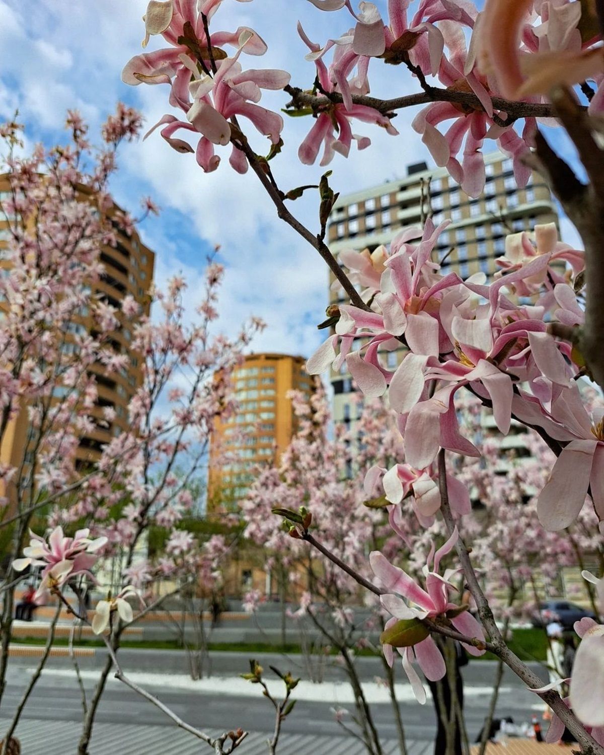 Фото: @alena.kozyrieva