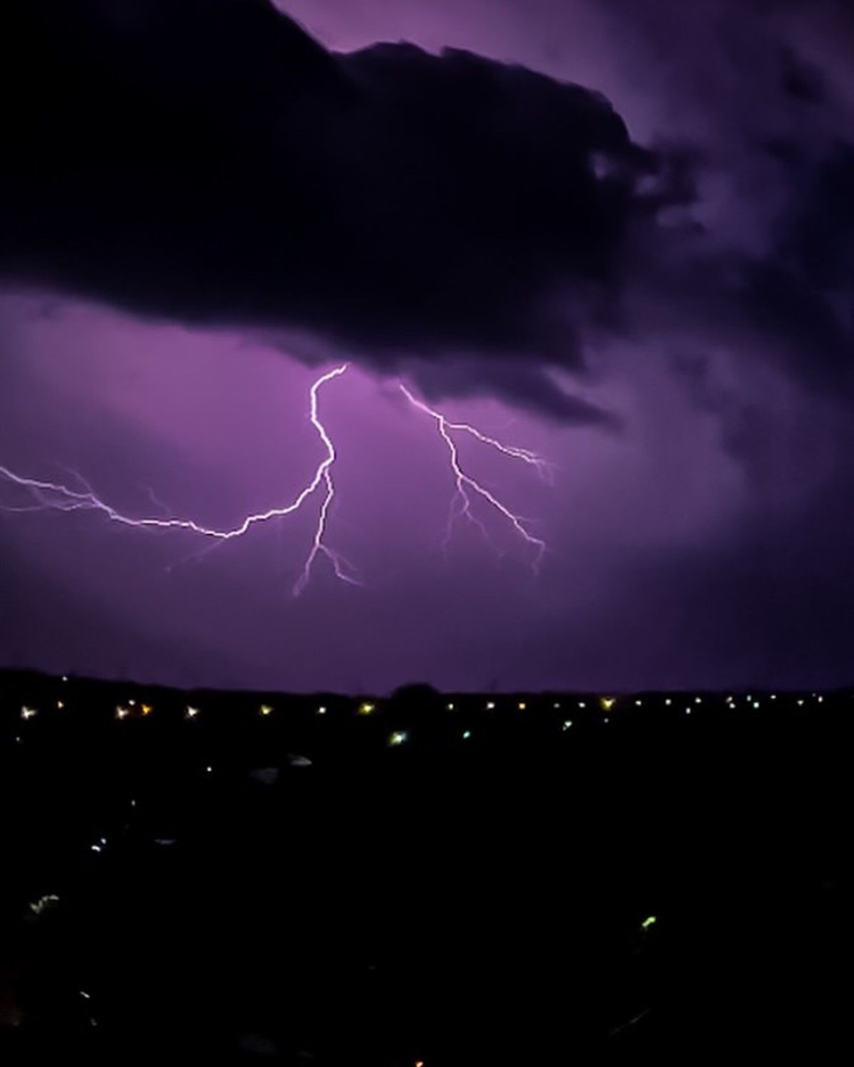 Фото: @hamster_dp_ru