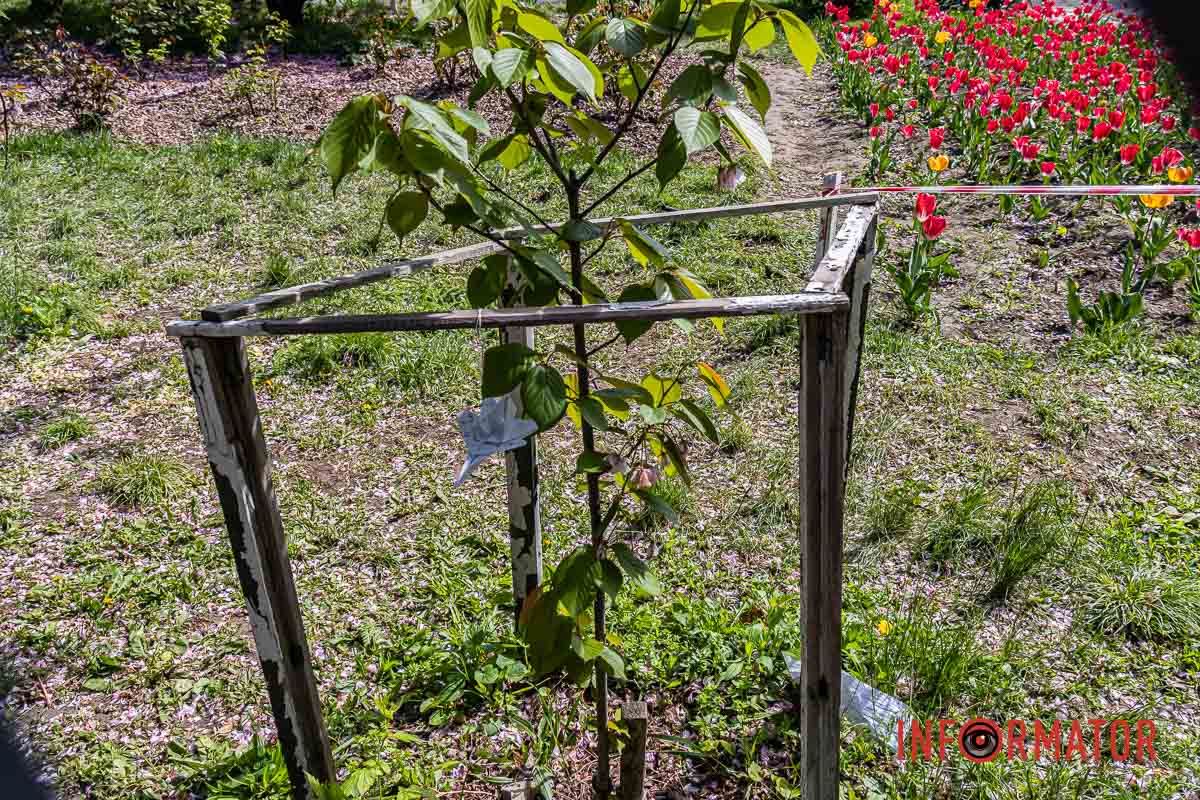 Акція Акція