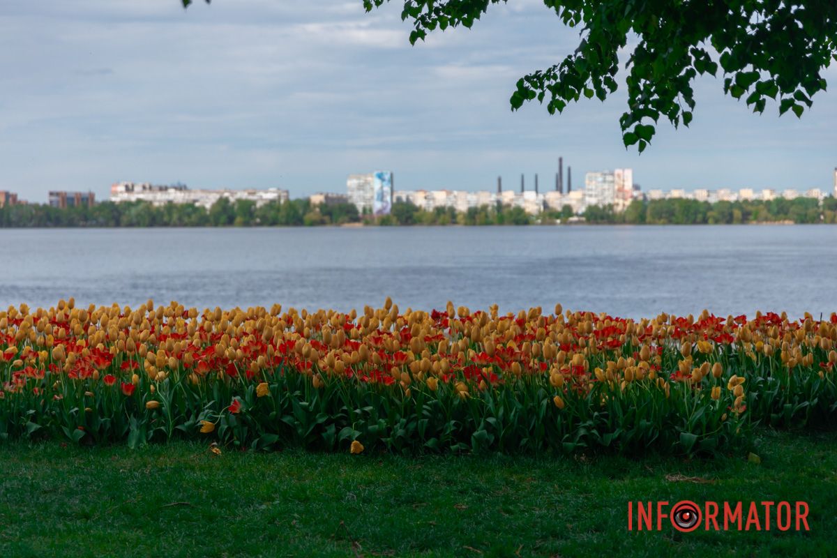 Ні, не забула! У вікно до мене