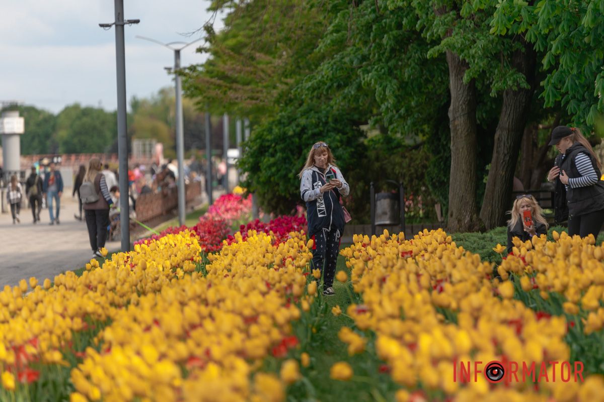 Промінням грала, сипала квітки,