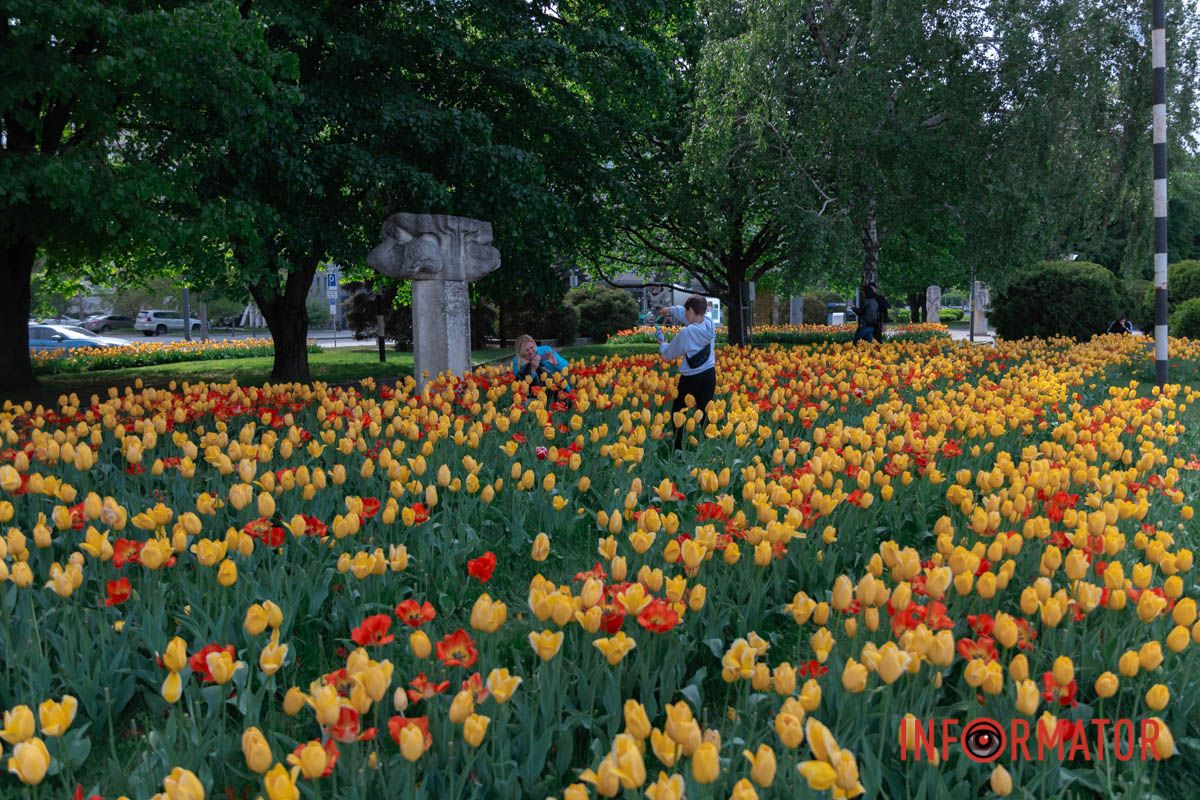 Лине вся в прозорих шатах,