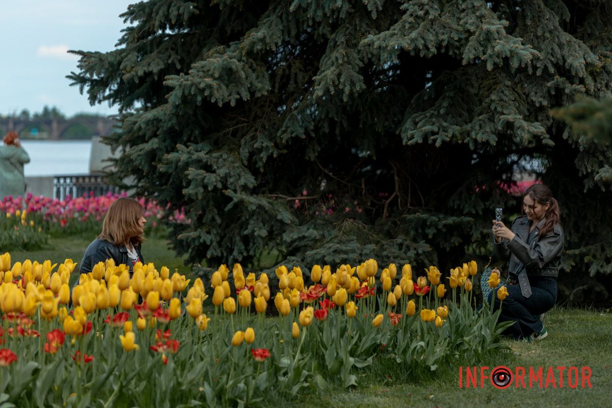 Моя душа ніколи не забуде