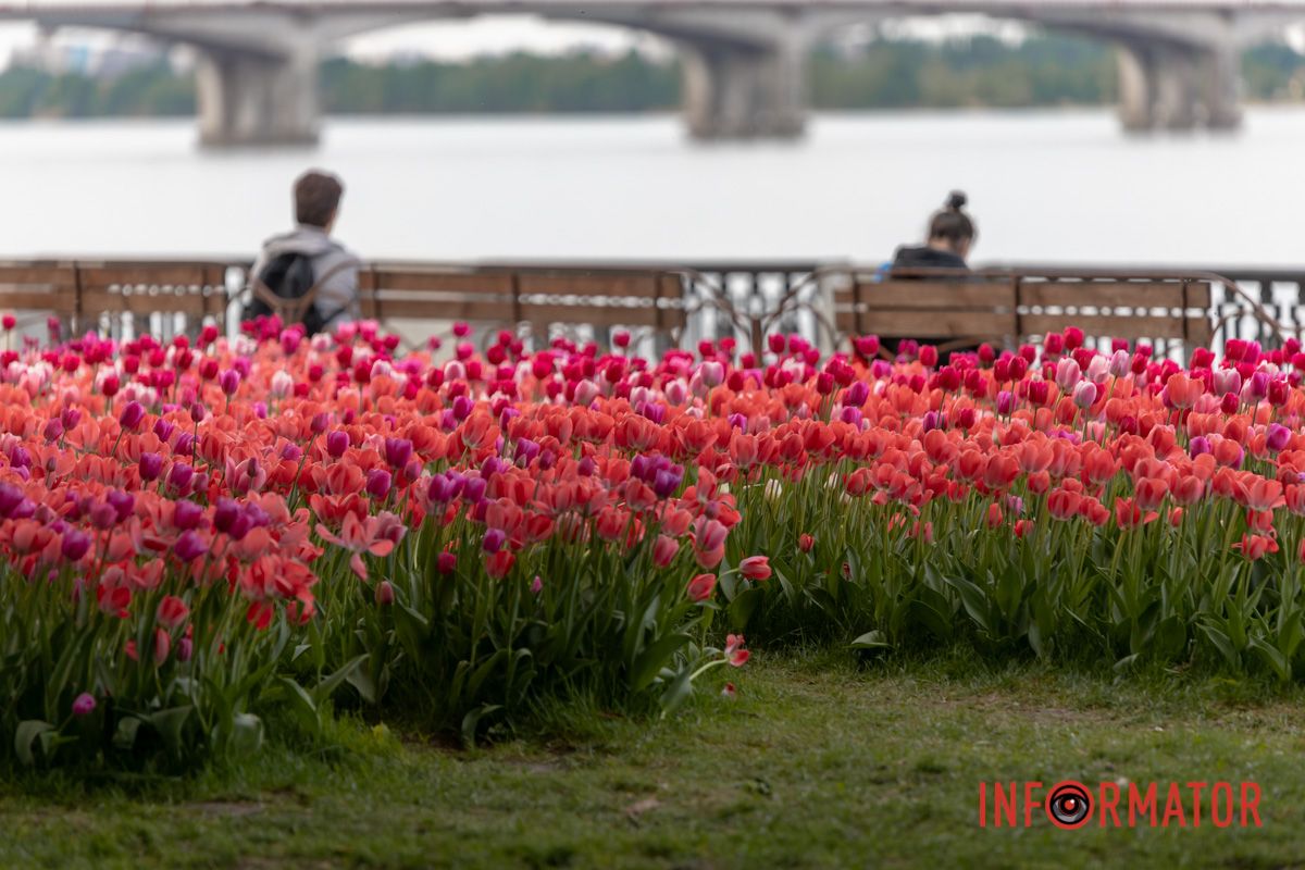 І любий гай свій відгук з ним прислав.