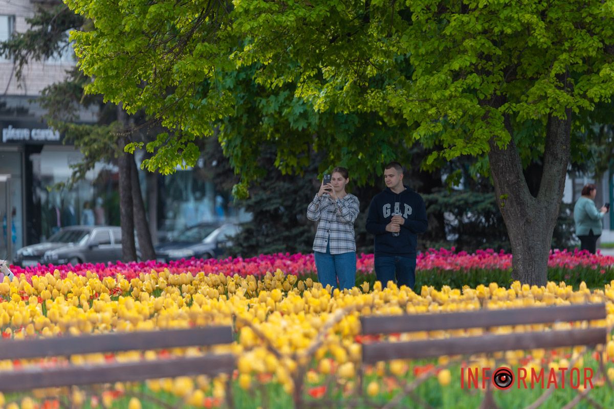 Сяє вродою святою,