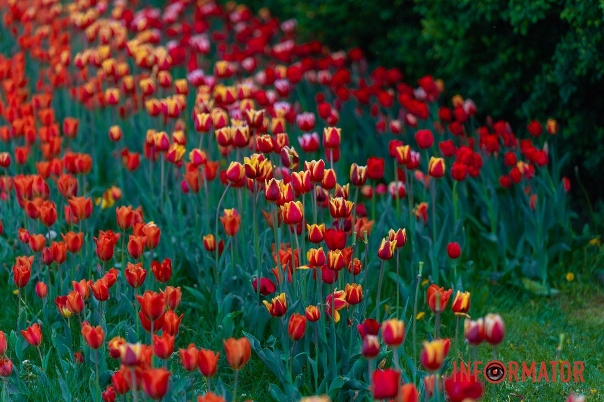З-поза хмар,