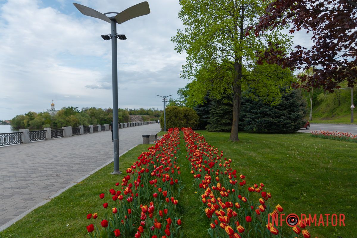 Гримлять струмки. Ламаються льоди.