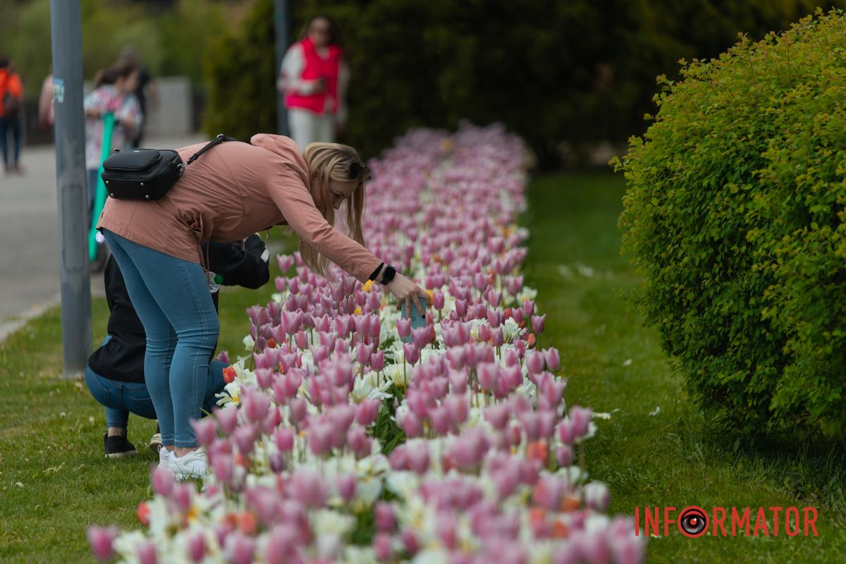 Гомонять-бринять пісні