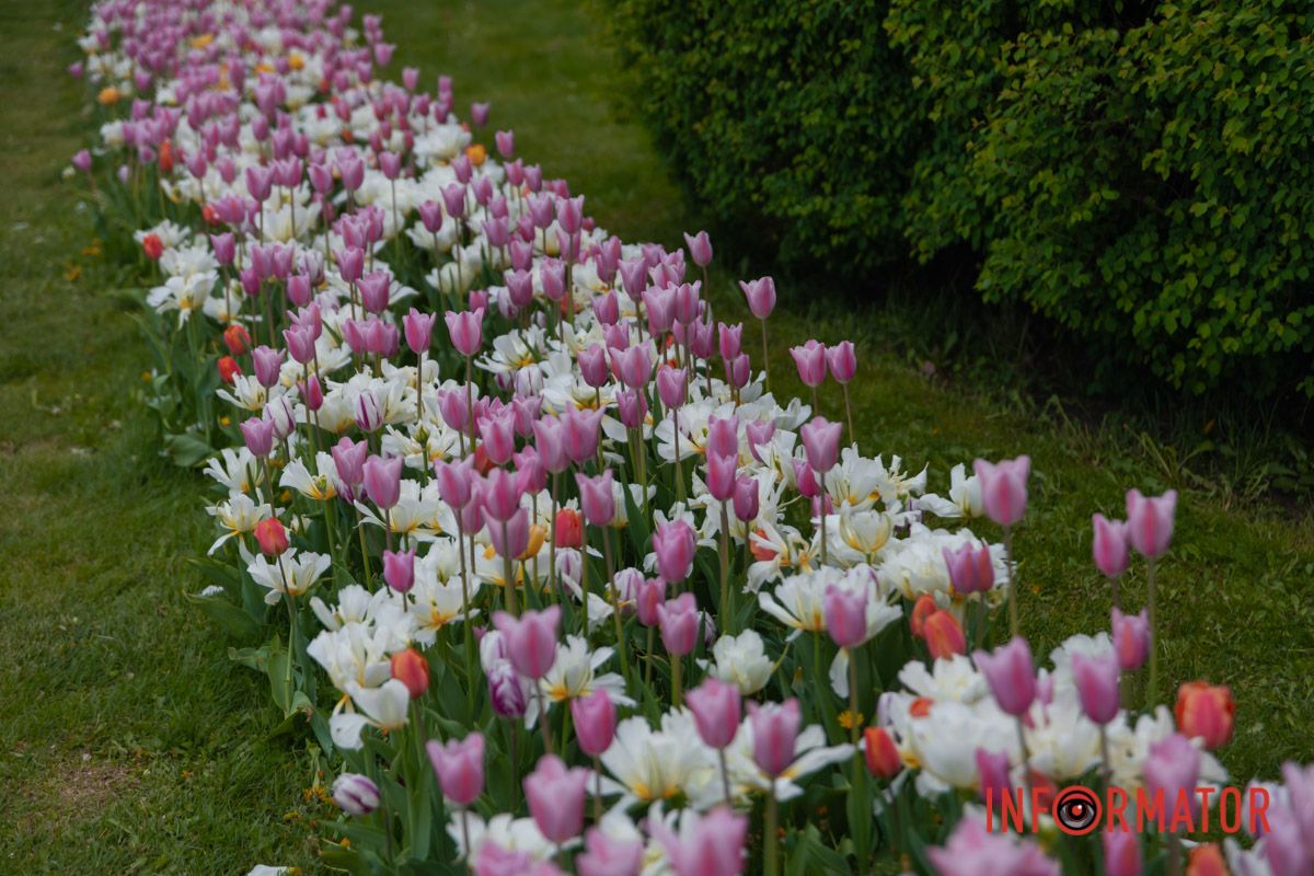 Автор: Микола Вороний