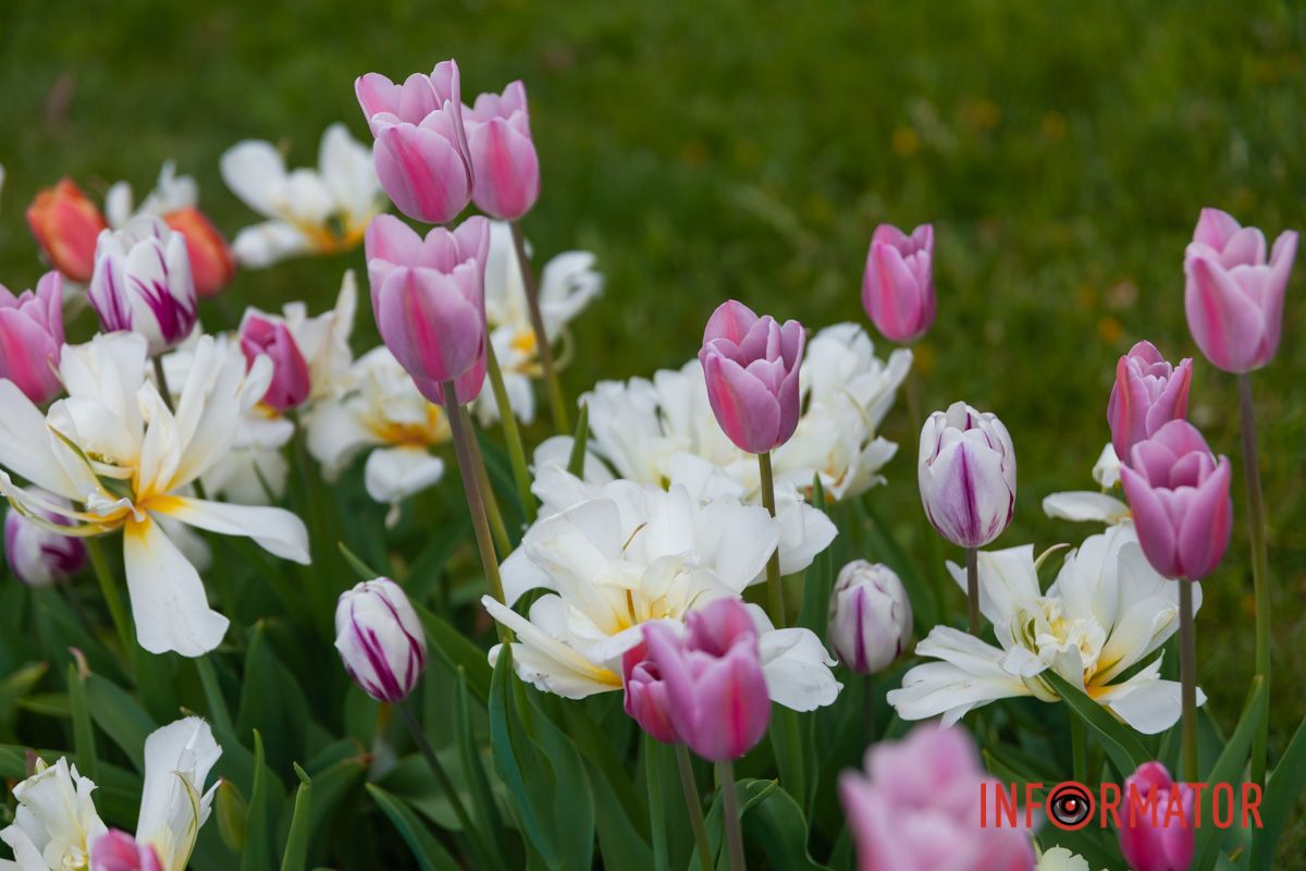 Весняний день. Вологий вітер. Хмари.