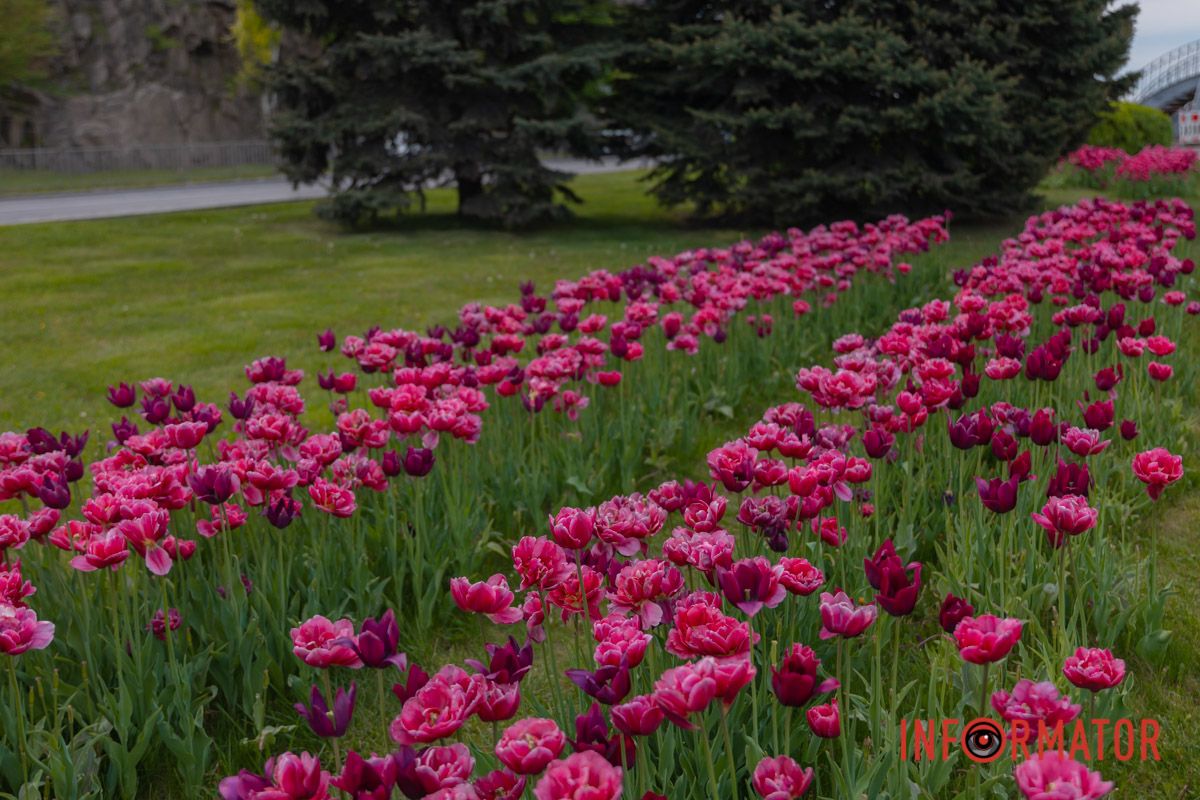 І уже в душі моїй