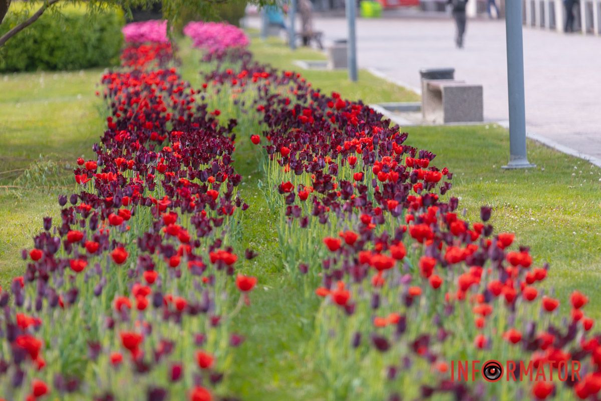 Не добереш, чого чекать за мить.