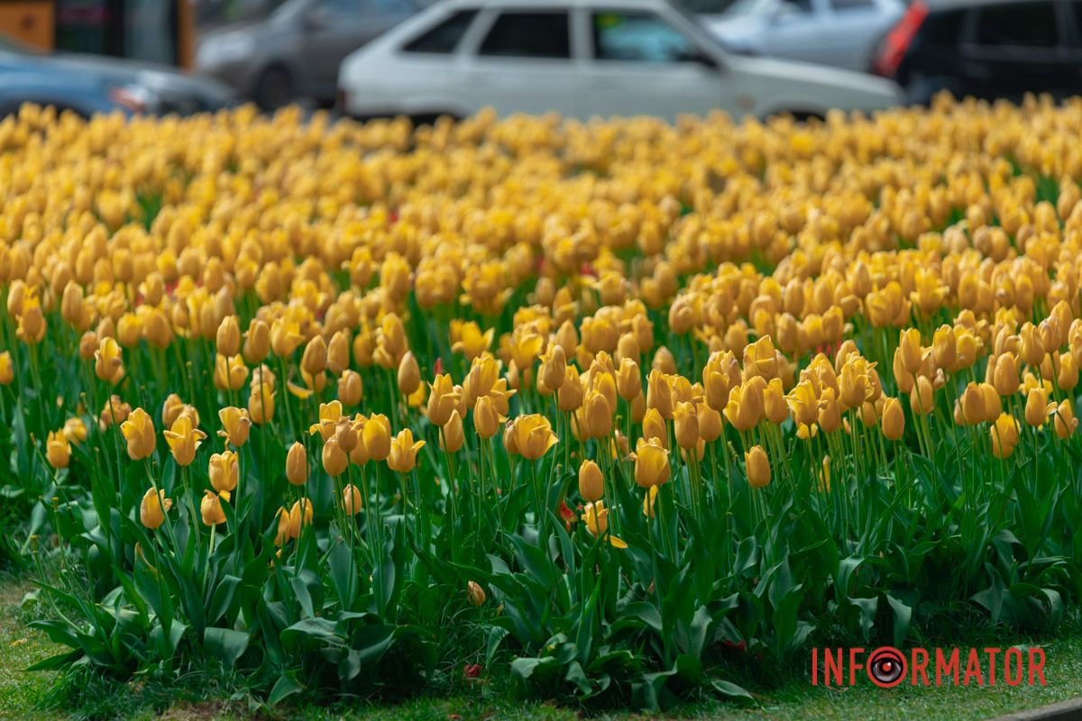 Усе мінливе, наче настрій жінки: