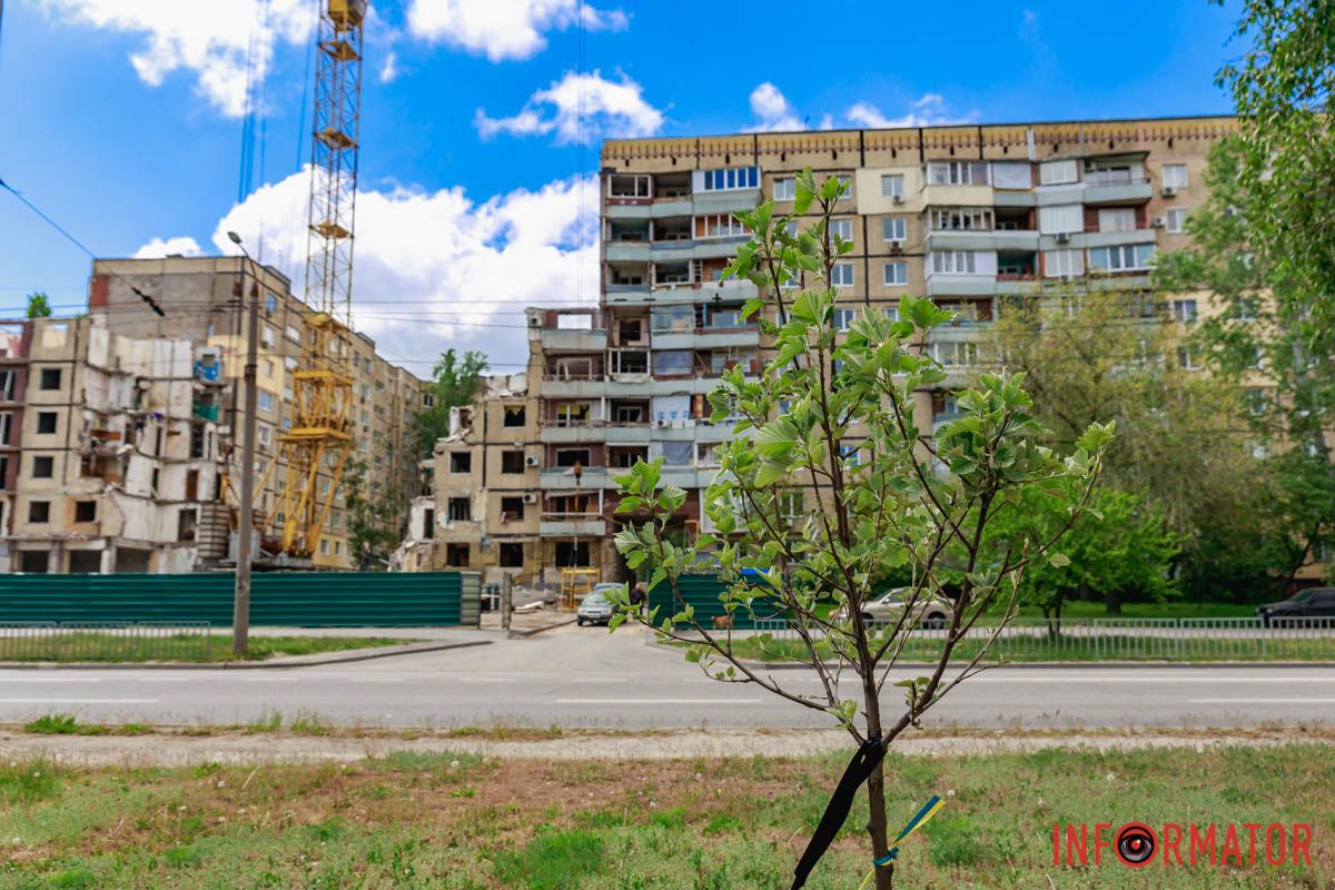 Поруч по 5 дерев 