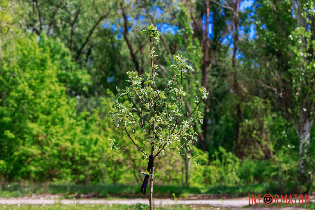 Ніколи не пробачимо 