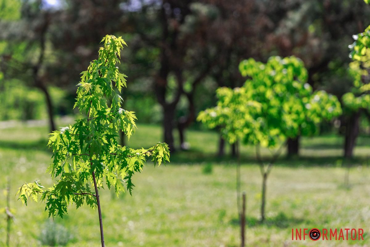 На зупинці облаштували “народний меморіал” з іграшками та лампадками