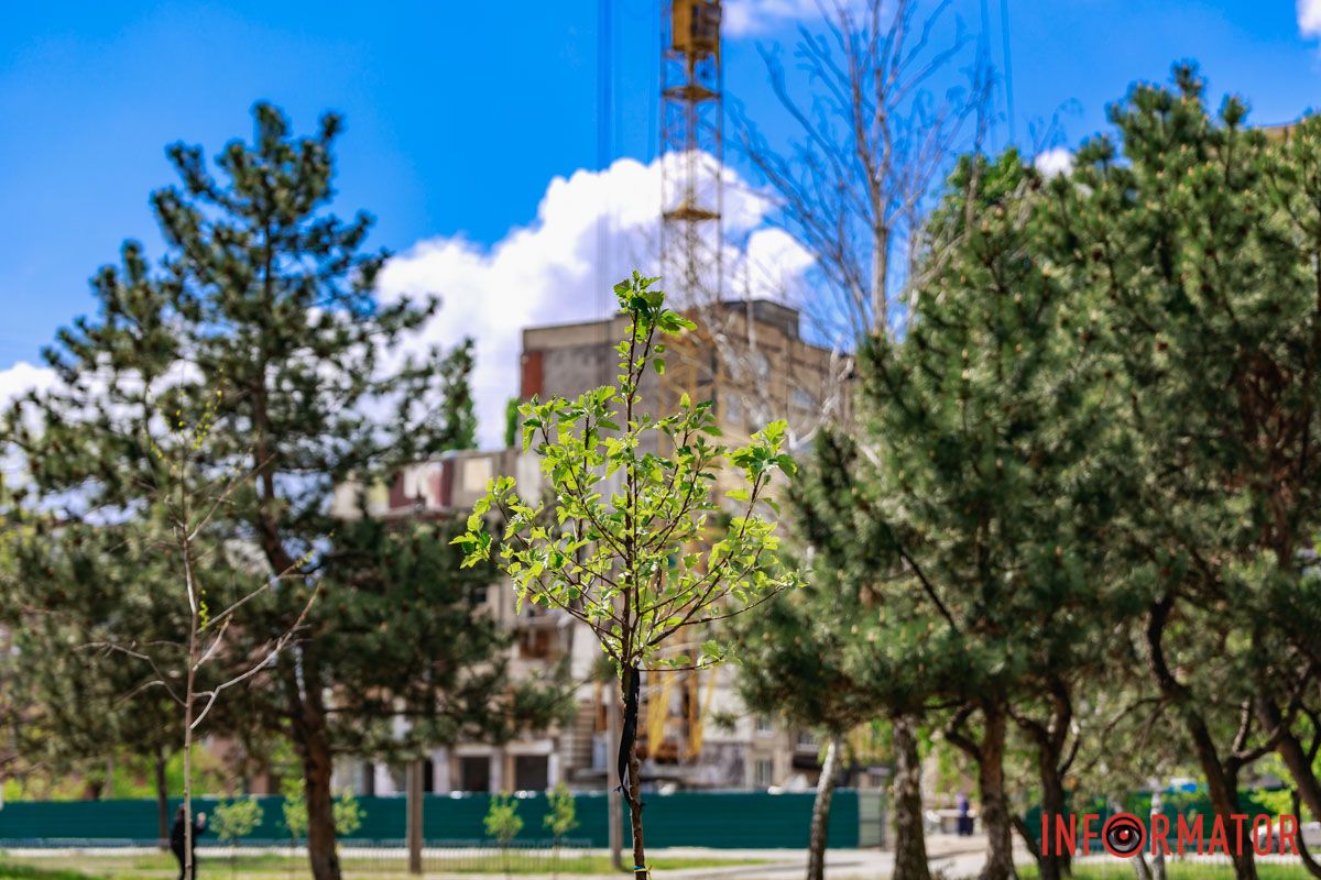 Це зробили, щоб люди завжди пам’ятали про трагедію, яка сталася 14 січня 2023 року