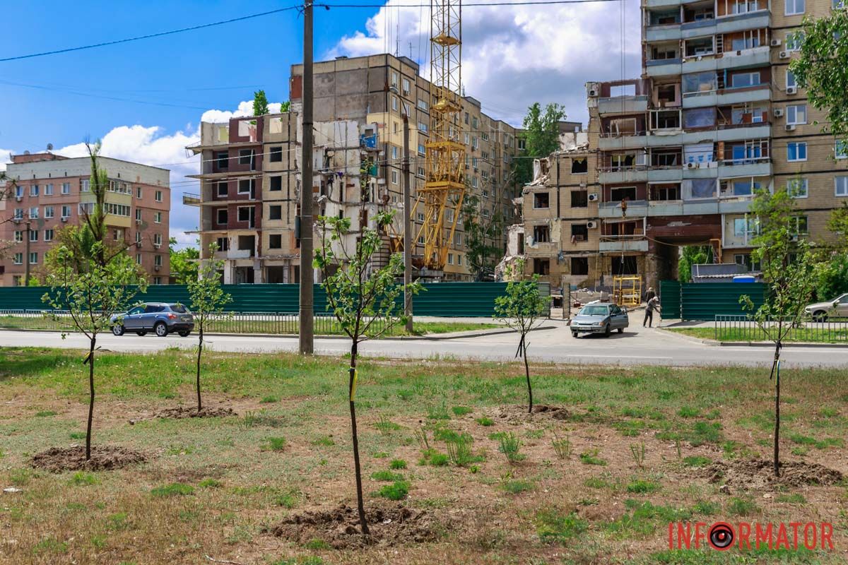 У Дніпрі на Набережній Перемоги навпроти будинку №118 висадили дерева