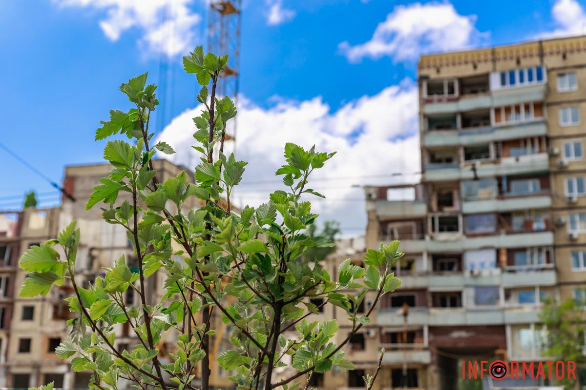 У цьому весь "руський мір"