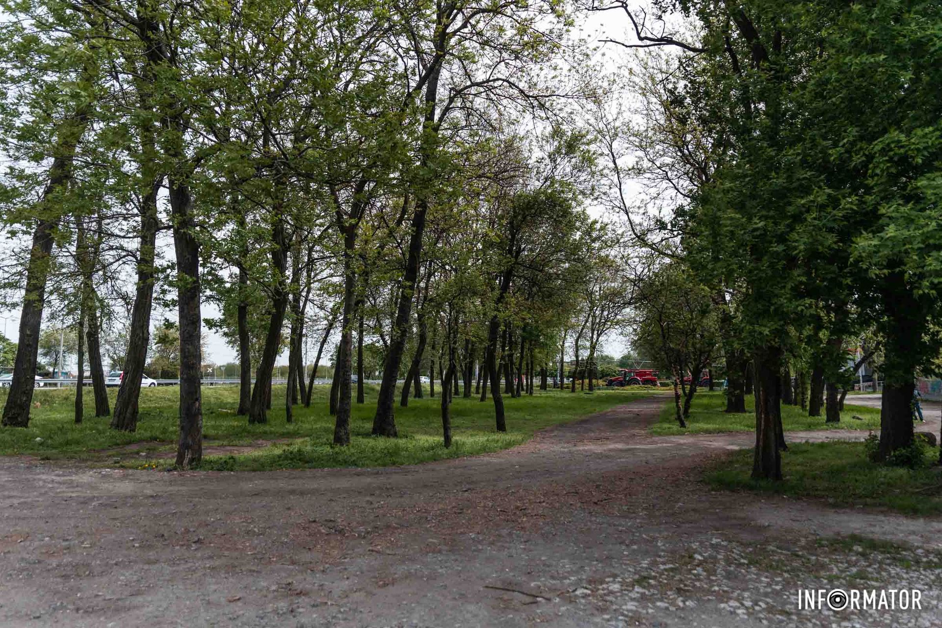 Решение вступит в силу после того, как его утвердит исполком Решение вступит в силу после того, как его утвердит исполком