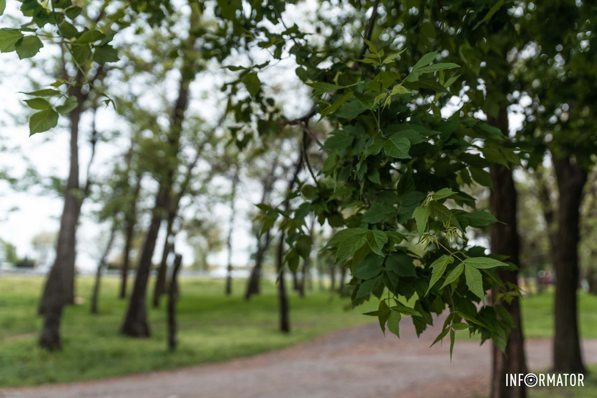 По состоянию на 24 апреля, соответствующие работы еще не приступили По состоянию на 24 апреля, соответствующие работы еще не приступили