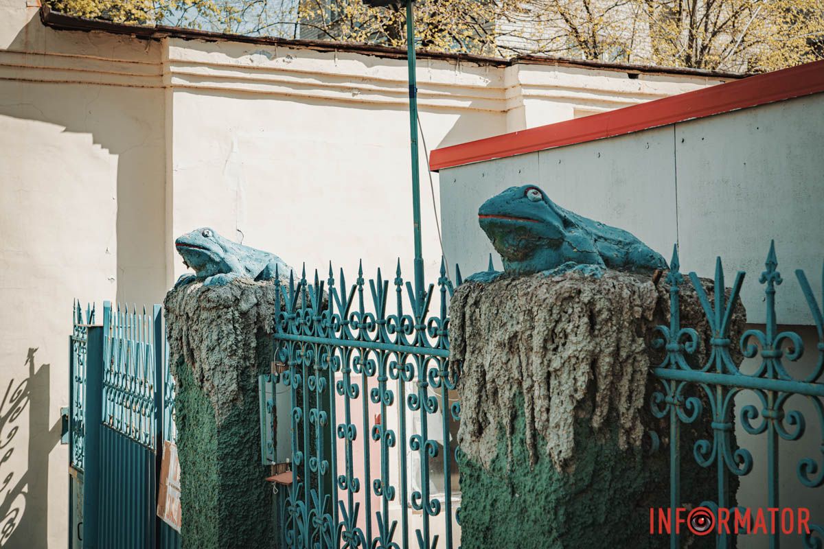 Зелені жаби