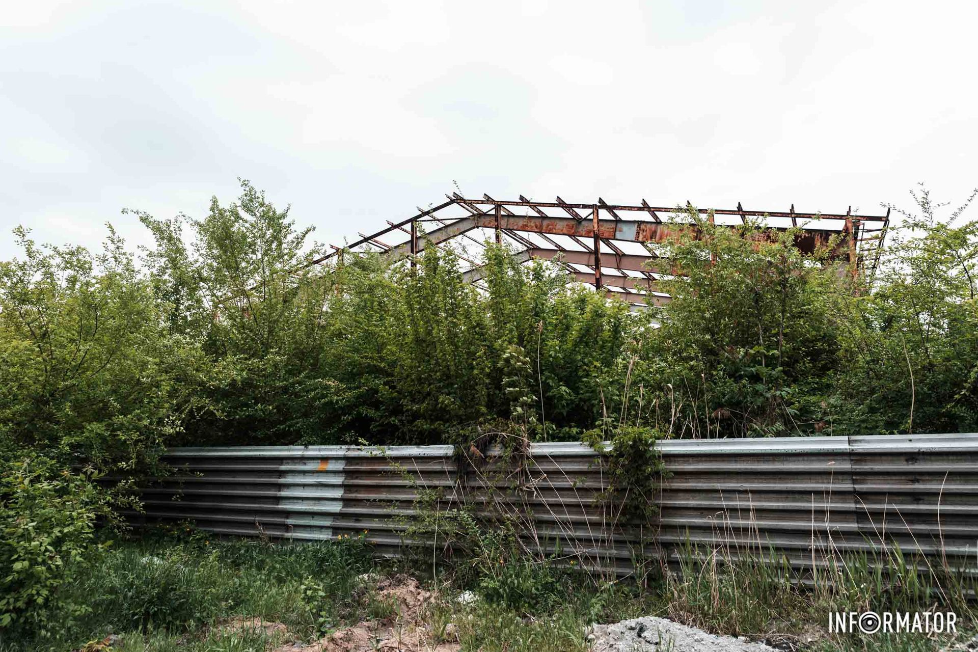 Все поросло деревами Все поросло деревами