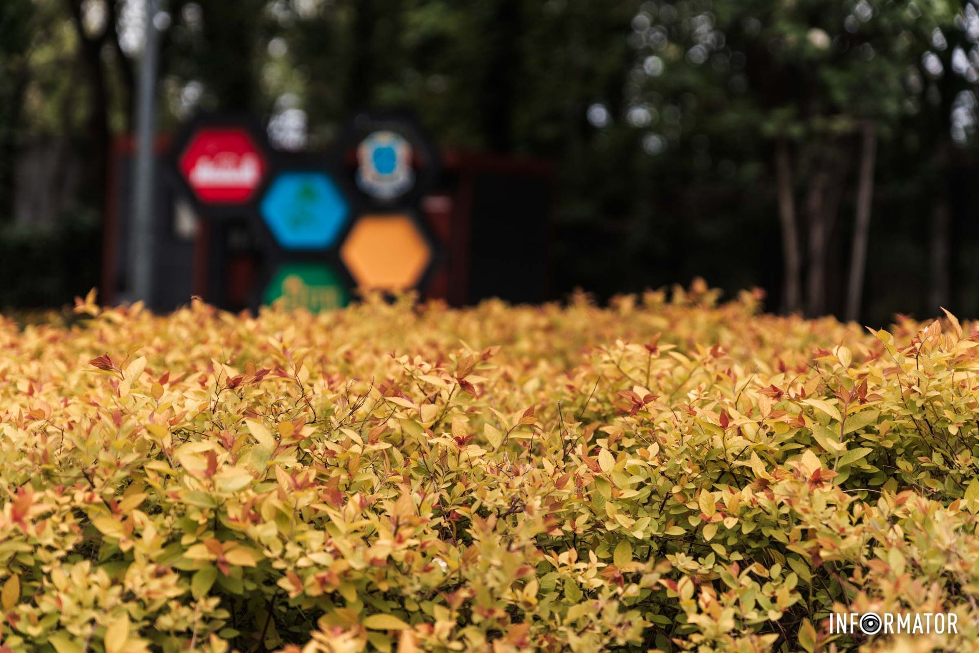 У парку можна зробити серію гарних фото У парку можна зробити серію гарних фото