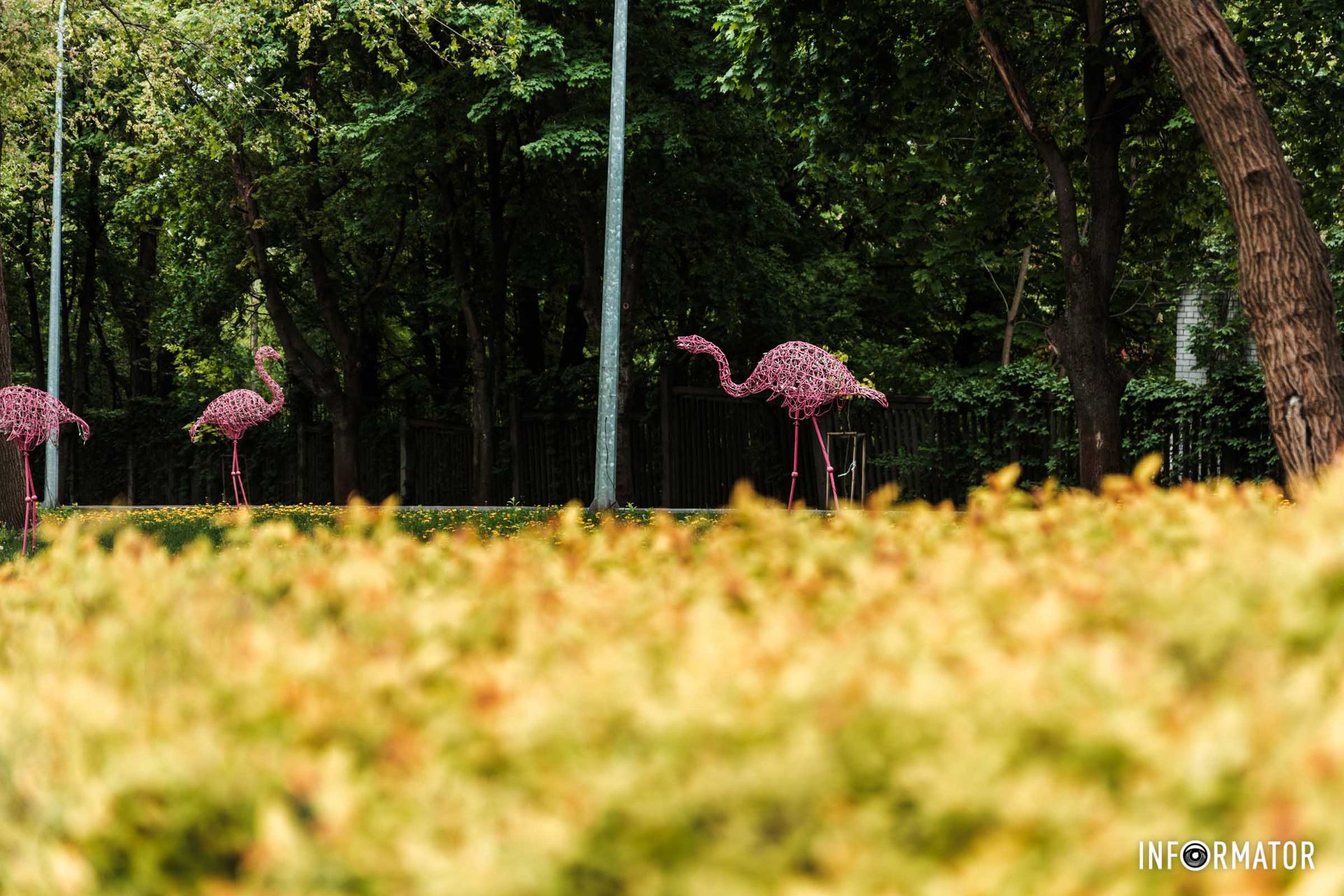 Ніби живі фламінго Ніби живі фламінго