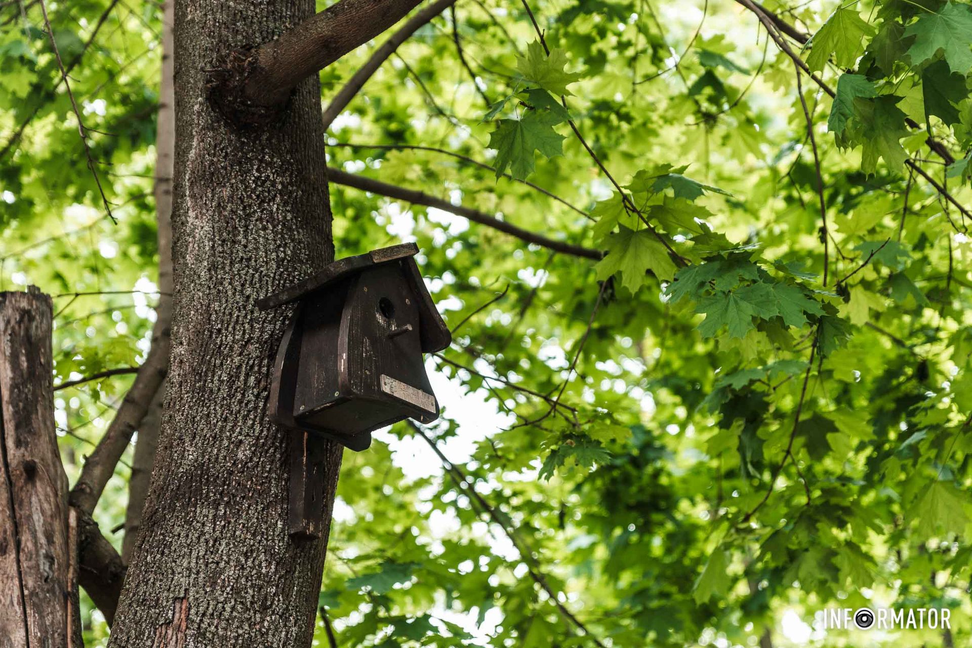 Можливо там хтось живе? Можливо там хтось живе?
