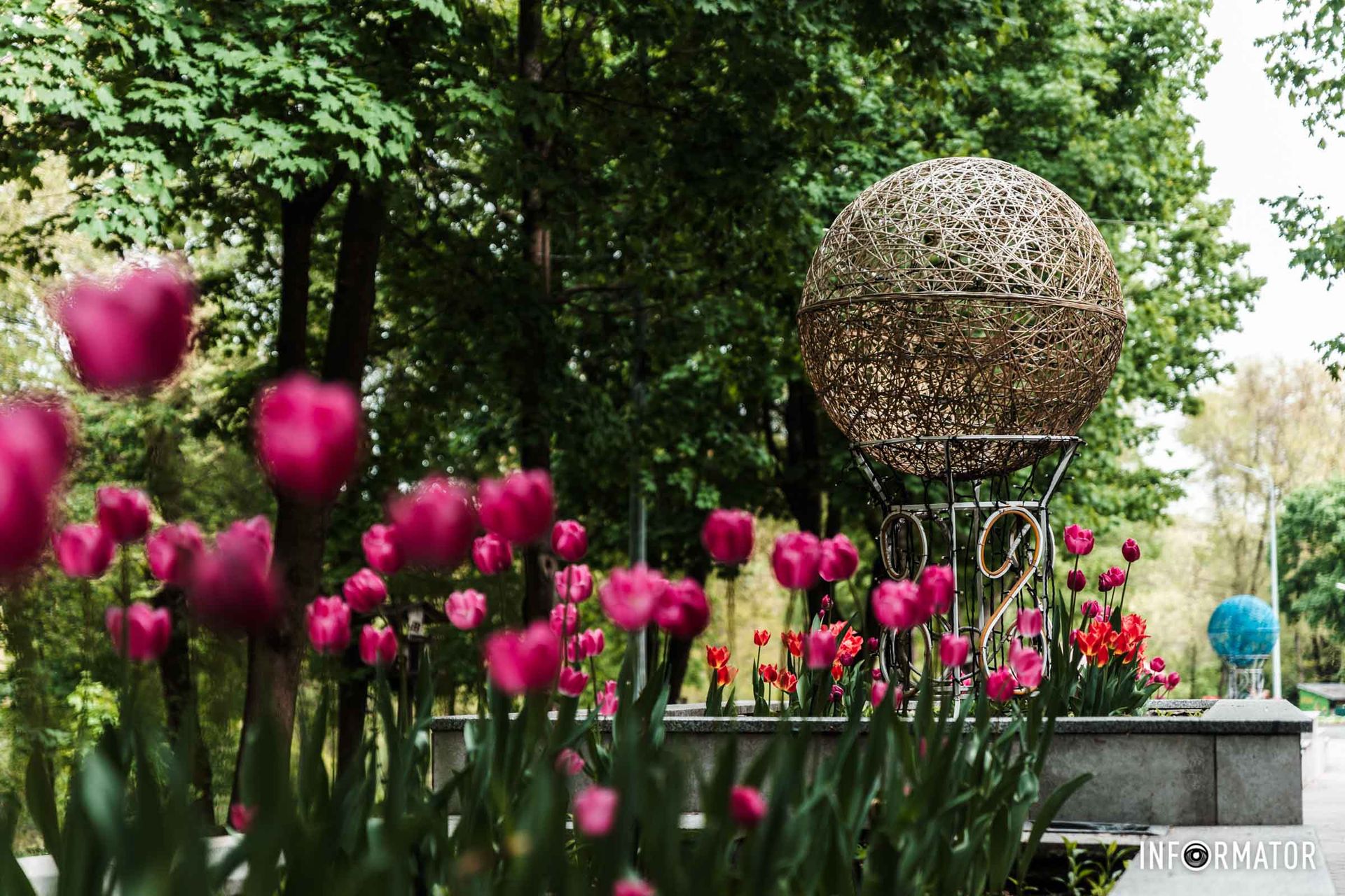 Тюльпанів багато не буває Тюльпанів багато не буває