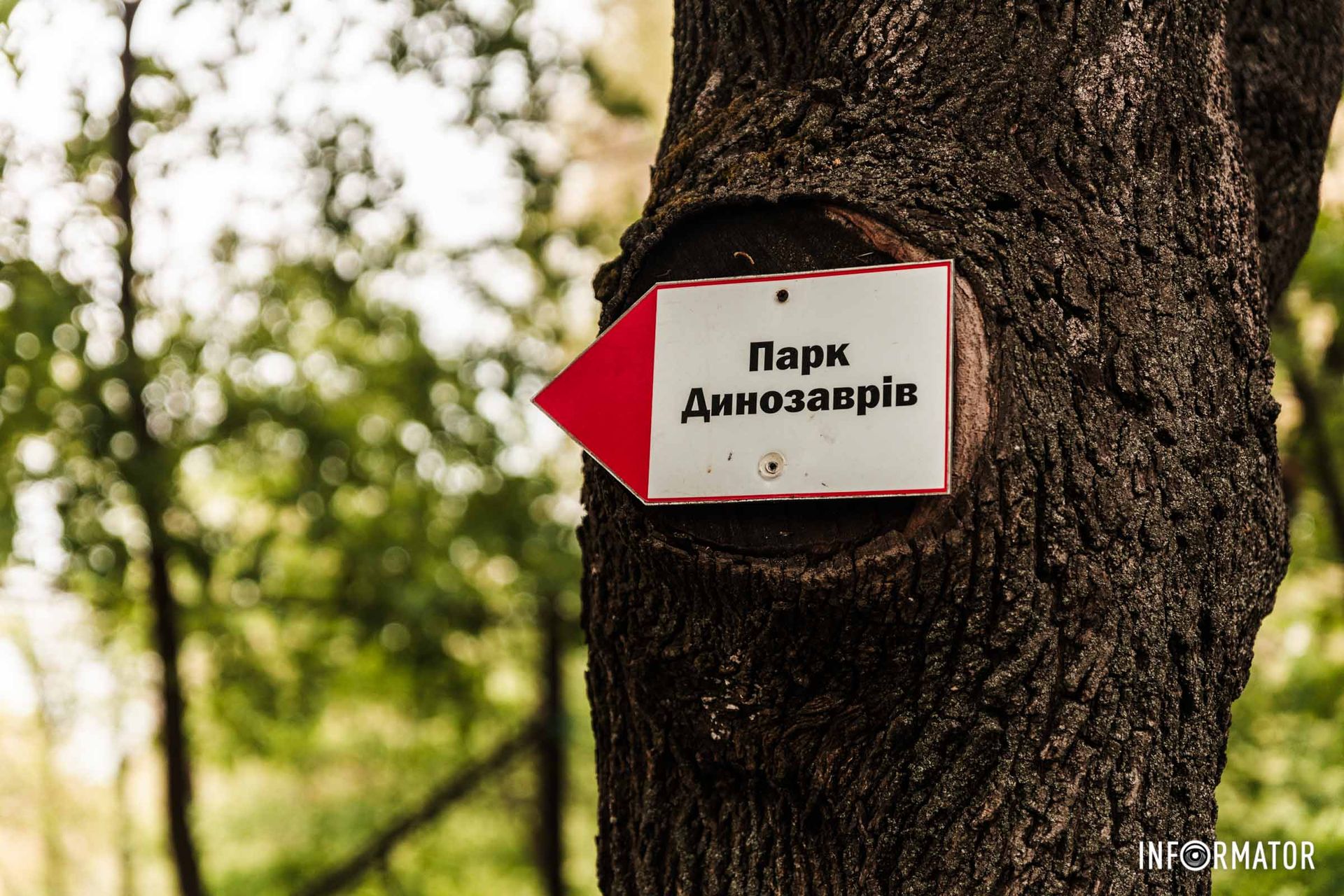 Динопарк вже працює Динопарк вже працює