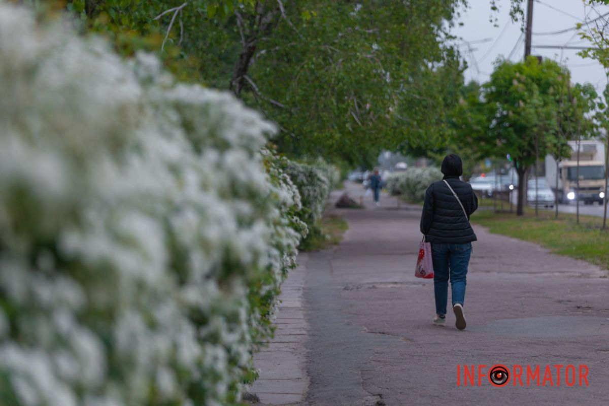 Мов шукає її очі.