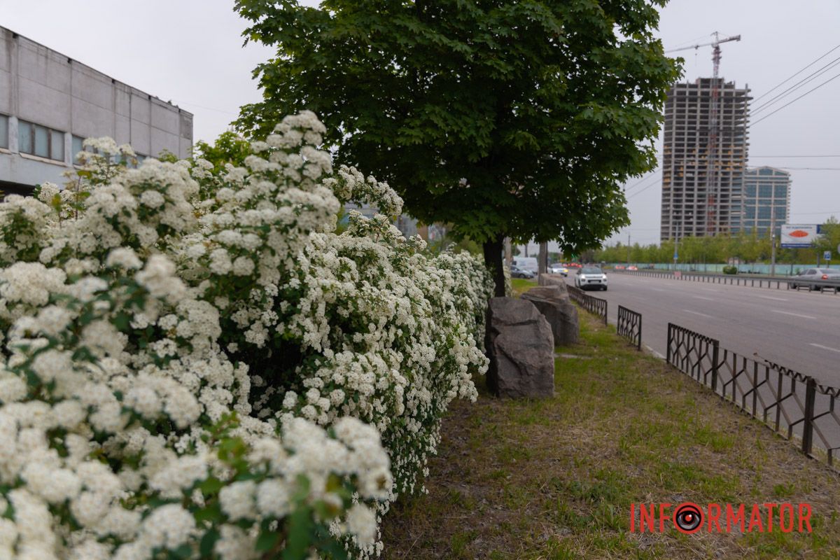 Автор: Андрій Гагін