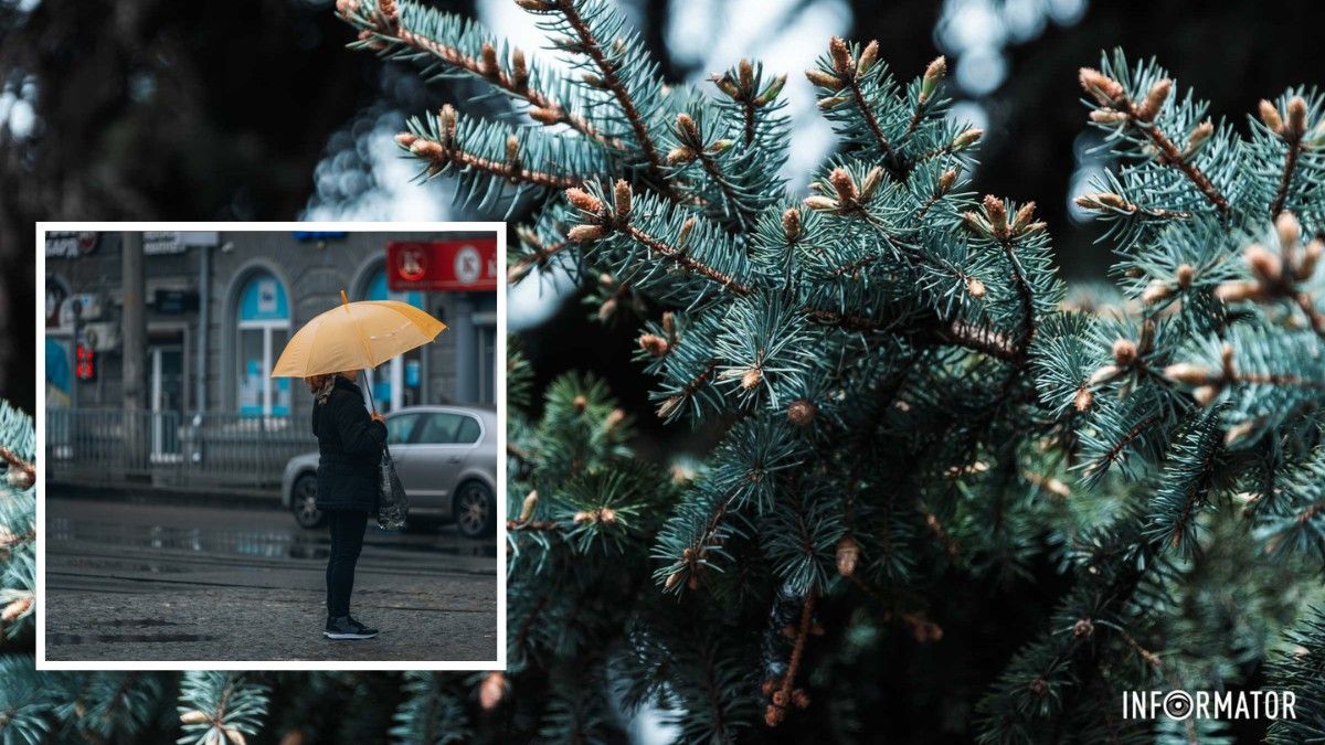 Погода на 28 апреля: в Днепре ожидается небольшой дождь