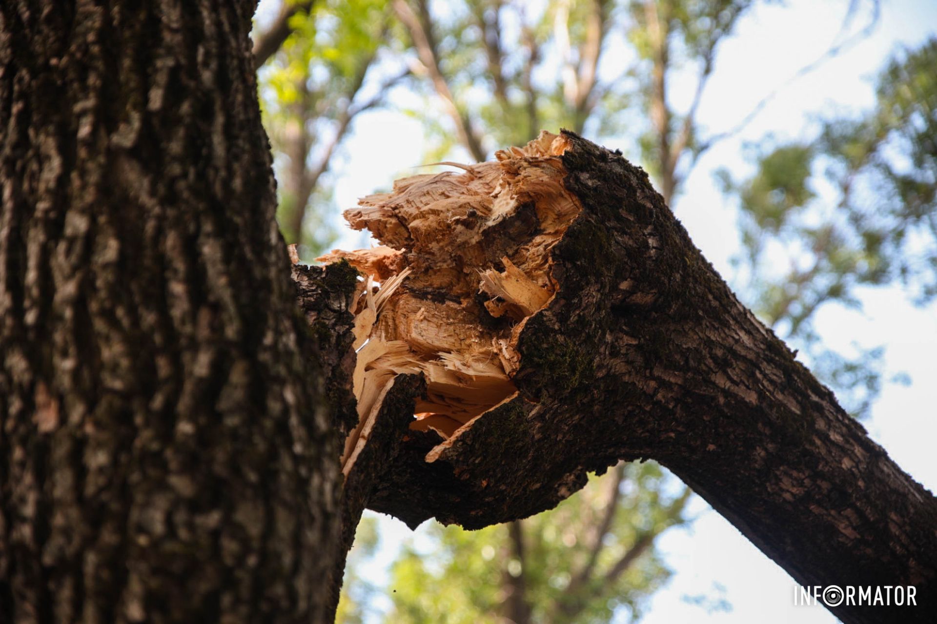 В любой момент могло упасть