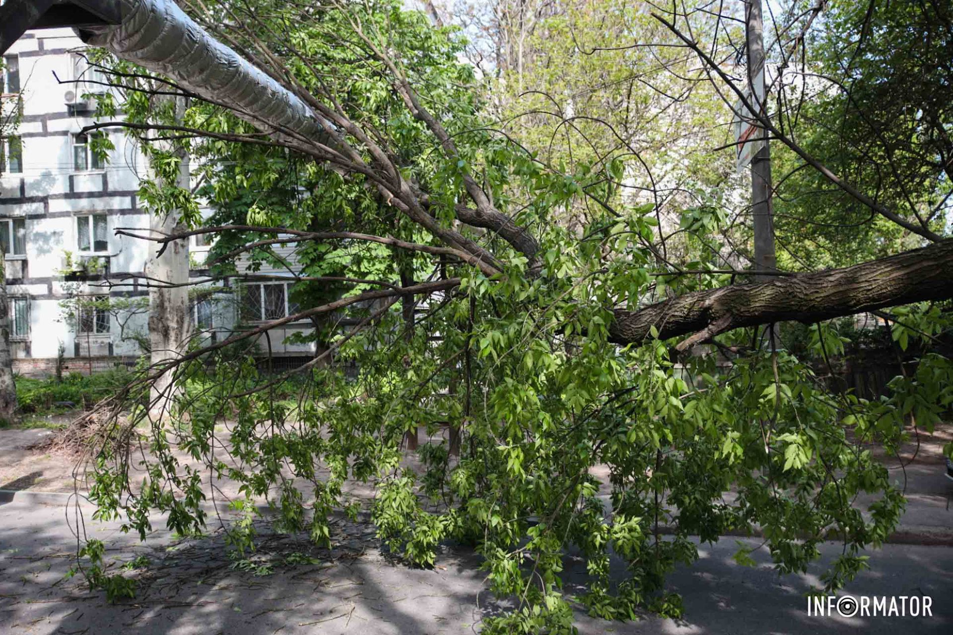 Некоторые водители не рисковали уезжать и разворачивались