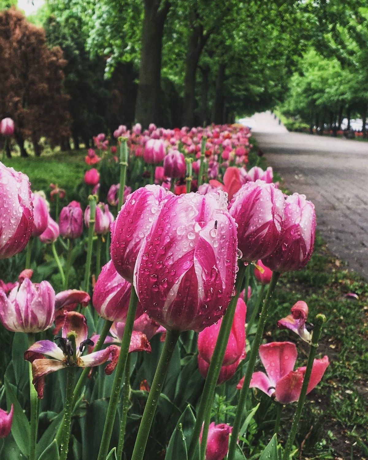 Фото: @photographer_andrey_moroz