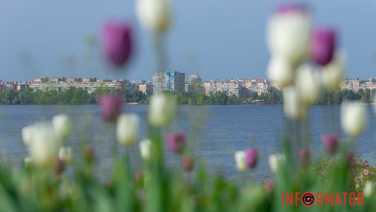 В Днепре будет солнечно: прогноз погоды на 30 апреля